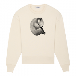 koala printed sweater Tiesjurt