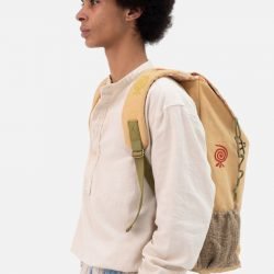 Traveler backpack water repellent