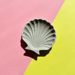 Shell Trinket Tray