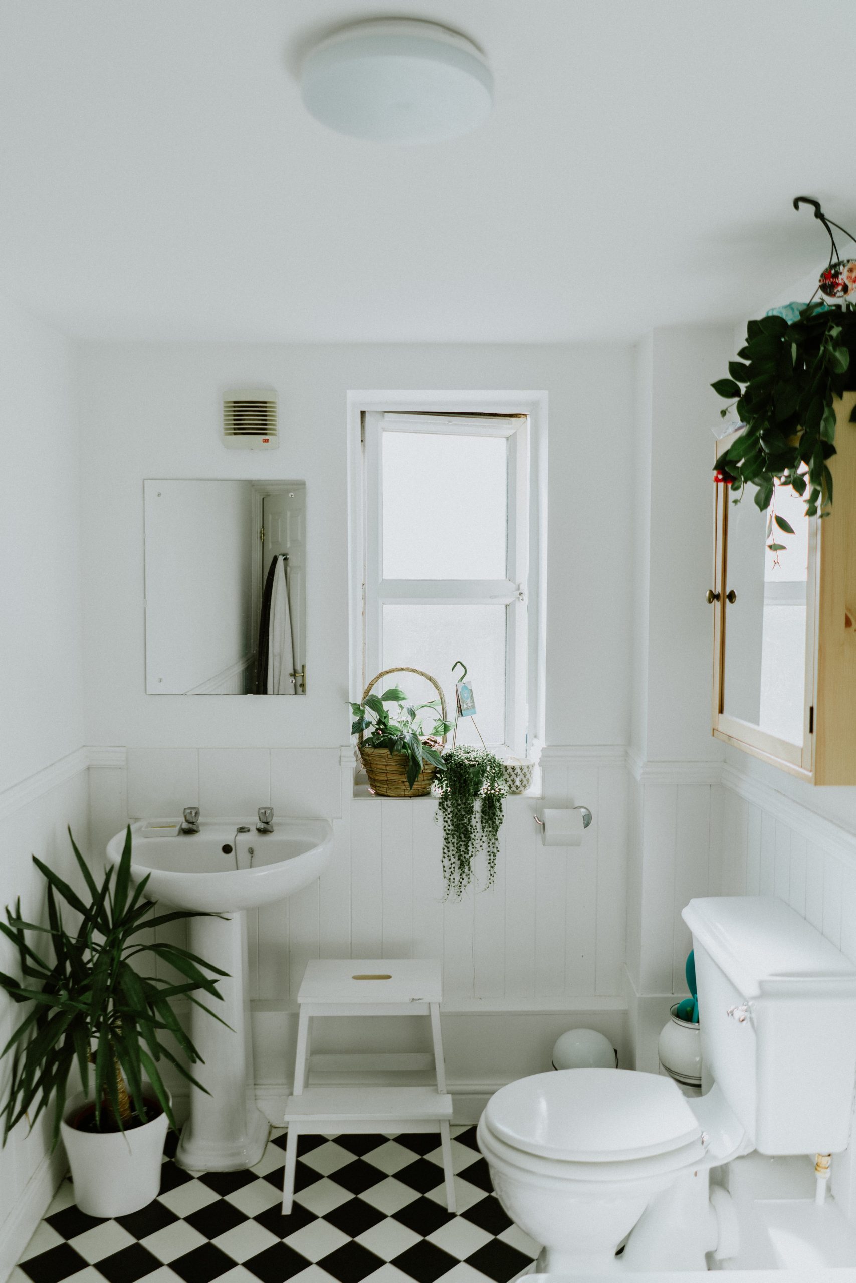 Zero waste bathroom: 3 spots for blueing up!