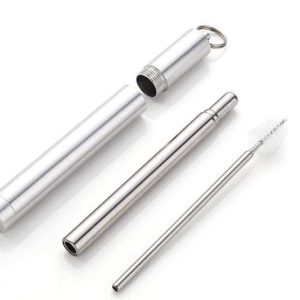 Collapsible Metal Straw + Travel Case