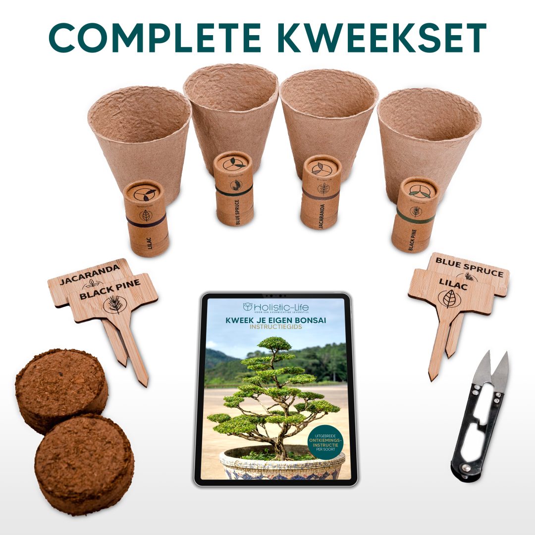 Bonsai Starters Kit met Uitgebreide Instructies – Bonsai Zaden Kit – Kweekset Cadeau