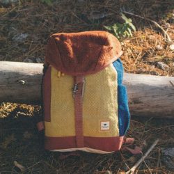 Himal Multicolor Mustard and Amber Backpack